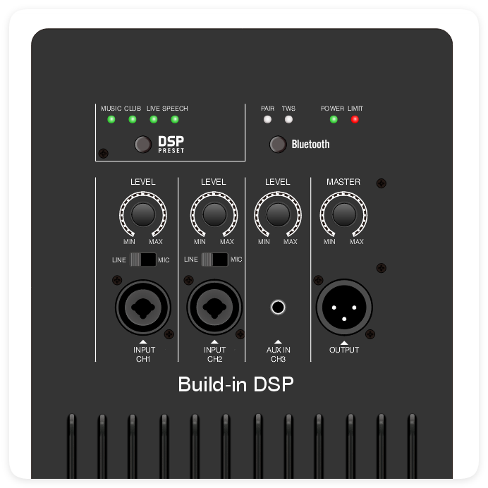 DSP2509 مضخم صوت عالي الأداء ومتعدد الوظائف من فئة AB مع DSP